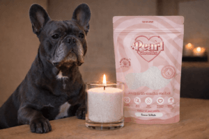 Franse bulldog naast brandende kaars met kaarsenzand in glazen houder en verpakking van Pearl Candles op houten tafel in warme interieursetting